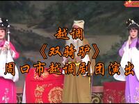 越调【双骑驴】全集 周口市越调剧团演出高清戏曲视频下载