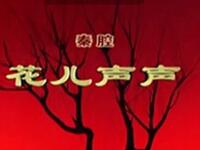 秦腔【花儿声声】全本戏 宁夏秦腔剧院演出MP4戏曲视频下载