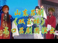 山东吕剧【双玉蝉】龙口吕剧团演出MP4戏曲视频下载