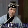 豫剧【寻儿记】又名【八珍汤】【三进士】MP4戏曲视频下载