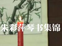 琴书【朱彩萍集锦】高清戏曲视频下载