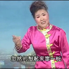 河南坠子【杨二郎劈山救母】莫红梅演唱高清戏曲视频下载