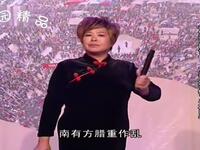 河南坠子【鲁提辖拳打镇关西】高清戏曲视频下载