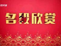 河南坠子【猪八戒背媳妇 晴雯撕扇】高清戏曲视频下载