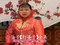 河南坠子【打婆子】全集高清戏曲视频下载