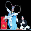 莆仙戏传统折子戏【白兔记 咬脐打猎】高清戏曲视频下载