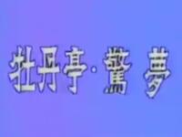 昆曲【牡丹亭惊梦】江苏省昆剧团演出高清戏曲视频下载