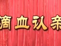 莆仙戏【滴血认亲】二团演出高清戏曲视频下载